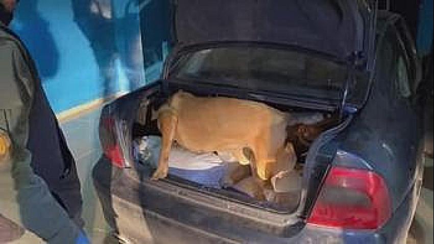 Durdurulan Araç'tan Uyuşturucu Çıktı