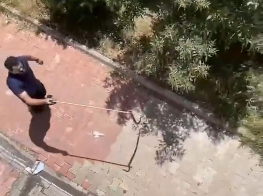 Sitede Yılan Paniği