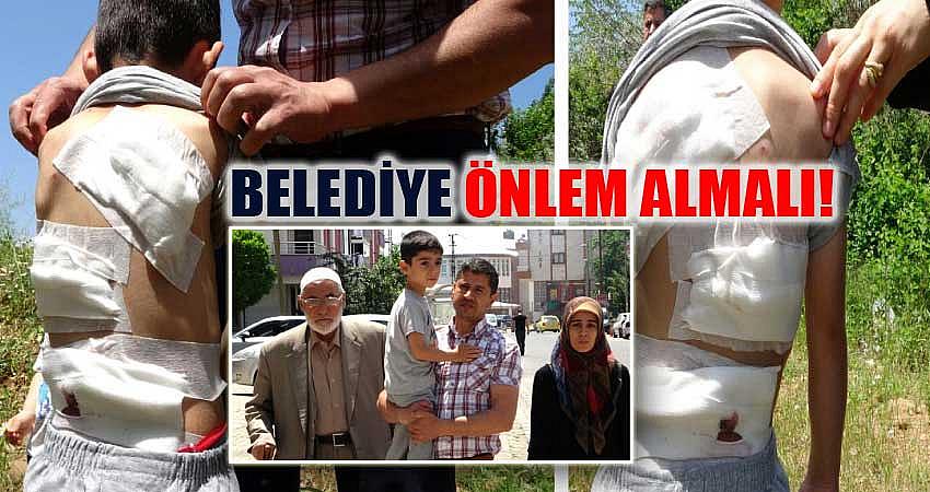 BELEDİYE ÖNLEM ALMALI!