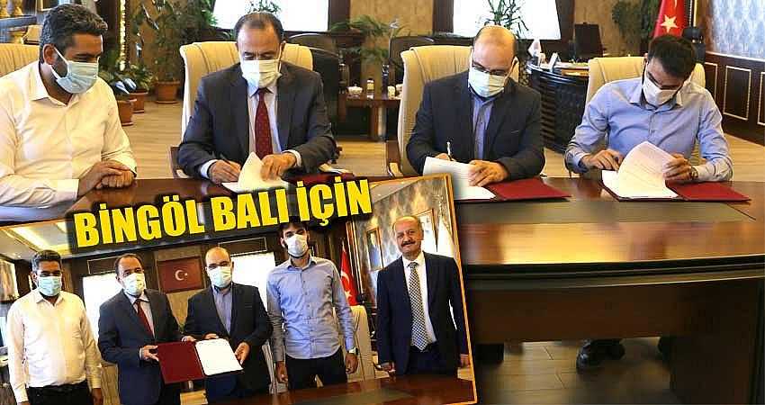 İŞBİRLİĞİ PROTOKOLÜ