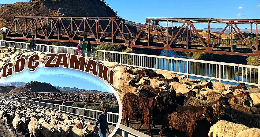 BESİCİLER İÇİN GÖÇ ZAMANI