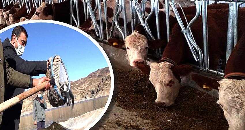 “Bingöl’de çiftçilere 72 milyon liralık tarımsal destek verildi”