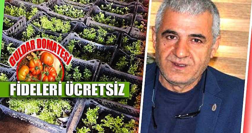 FİDELERİ ÜCRETSİZ DAĞITILACAK