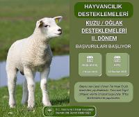 Kuzu ve Oğlak Destekleri 