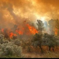 Eskişehir Yüreğimizi Yaktı: 10 Şehit