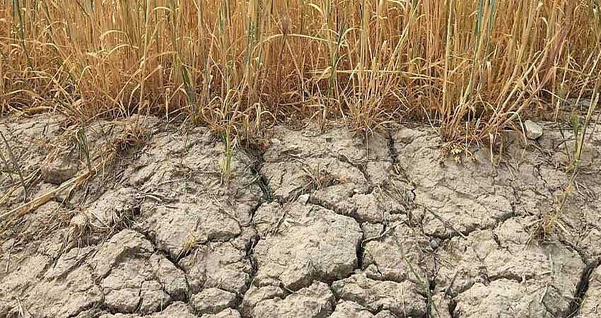 KURALIK ÜLKENİN YARISINI VURDU