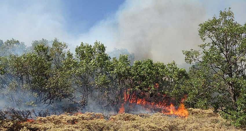 ORMAN YANGINLARI İÇİN UYARI!