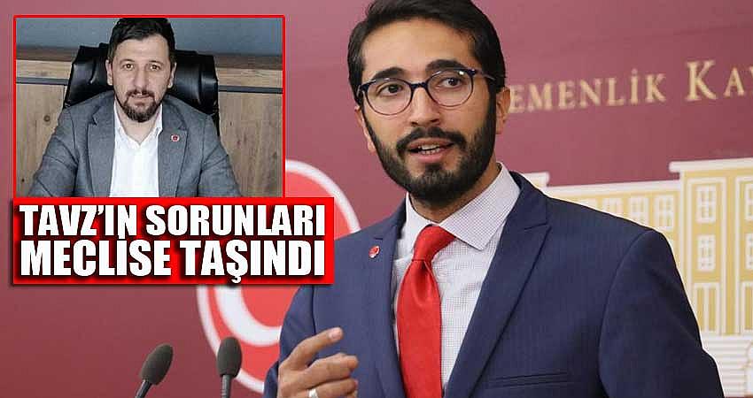 TAVZ BÖLGESİNİN SORUNLARI MECLİSE TAŞINDI