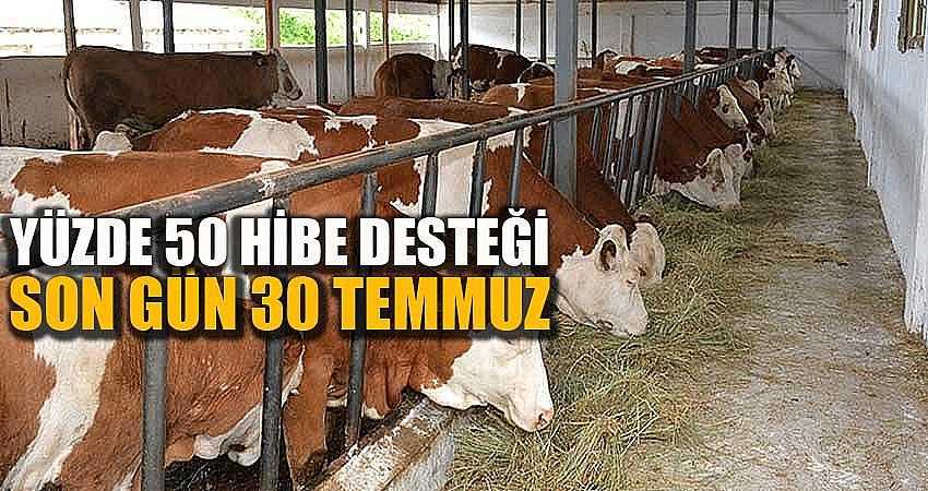 YÜZDE 50 HİBE DESTEĞİ VERİLECEK