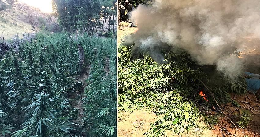 GENÇ’TE UYUŞTURUCU ELE GEÇİRİLDİ