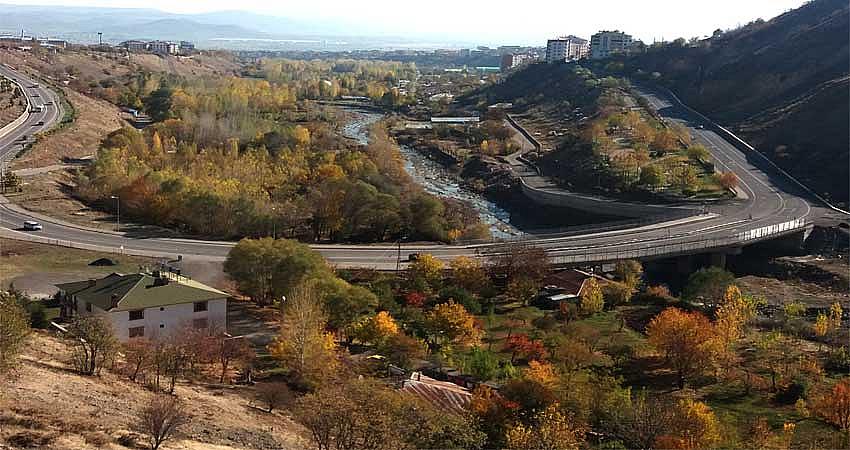 ÇAPAKÇUR VADİSİNDE YETİŞEN BUĞDAYGİLLER