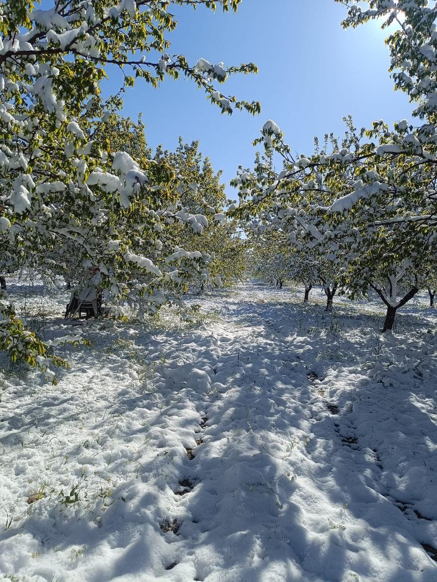 Zirai Don Bingöl’ü Teğet Geçti