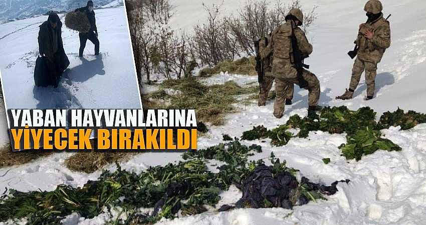 YABAN HAYVANLARI İÇİN DOĞAYA YİYECEK BIRAKILDI